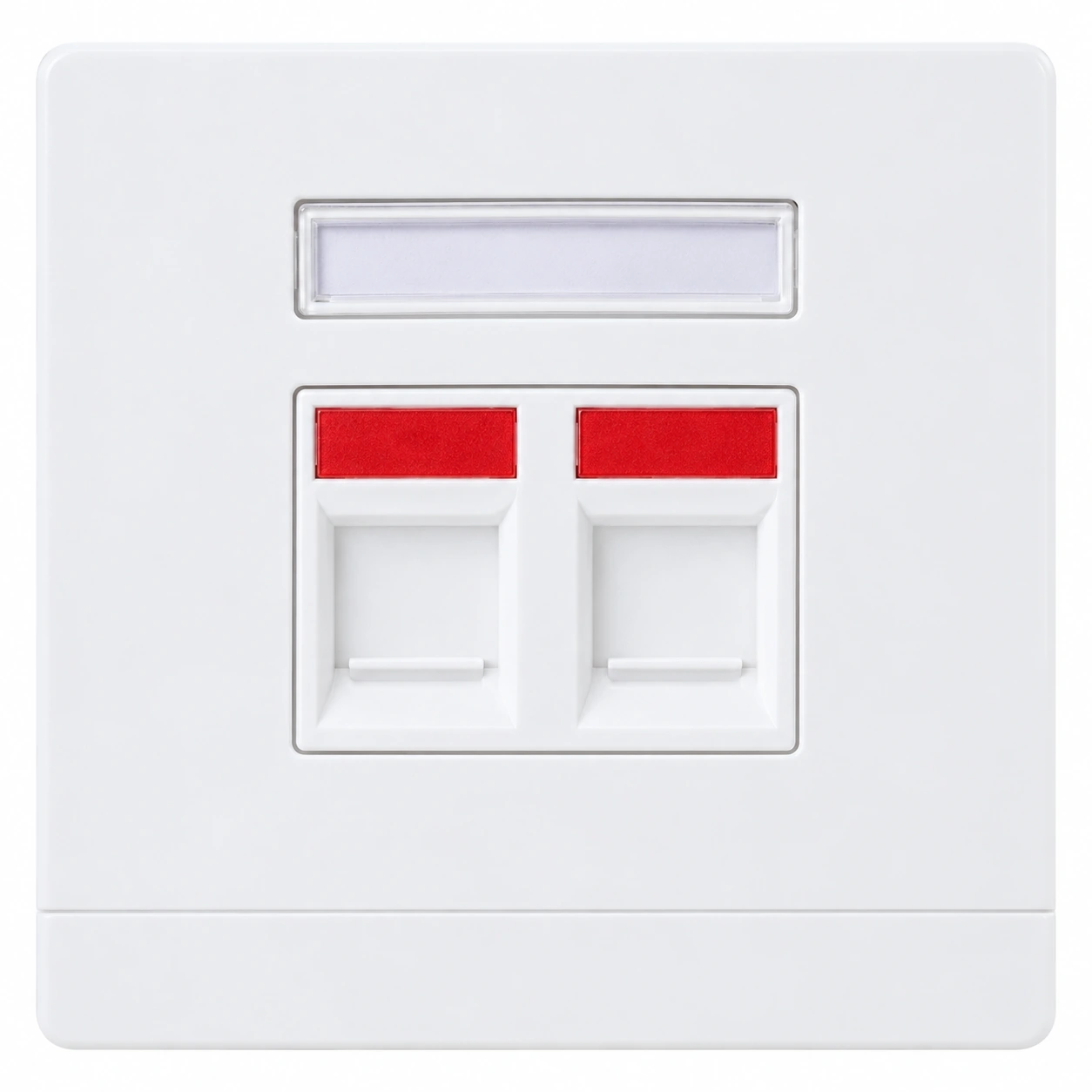 Qixiang 86 by 86 mm dual-port network faceplate