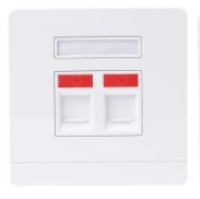 86 × 86 mm Dual Port Faceplate